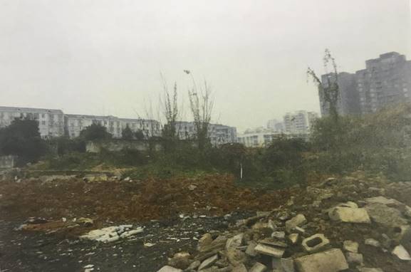 1534295767109076.jpg image008.jpg